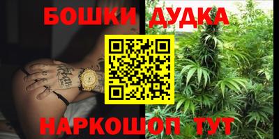 PSILOCYBIN Малоярославец