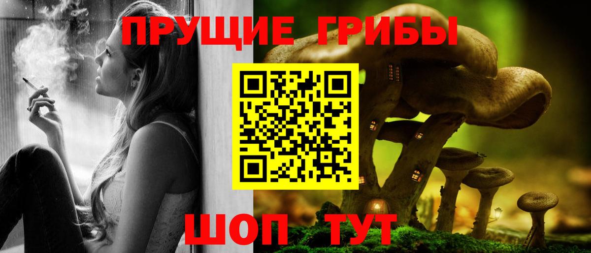 Вятские Поляны  наркошоп  Вход с VPN  Псилоцибиновые грибы Magic Shrooms 