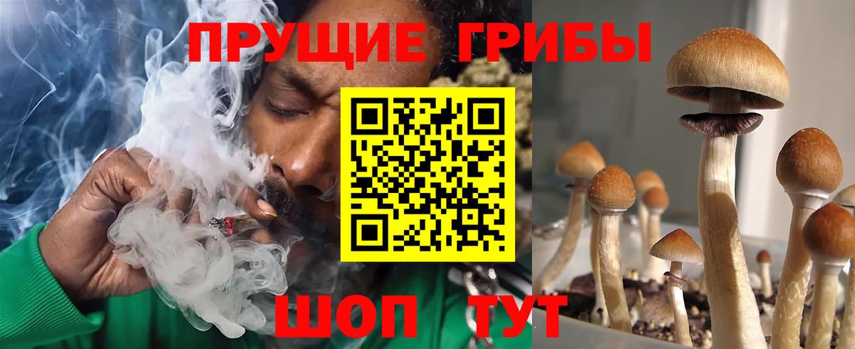 Псилоцибиновые грибы Psilocybe Вятские Поляны